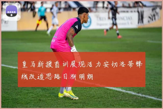 皇马新援首训展现活力安切洛蒂锋线改造思路日渐明朗